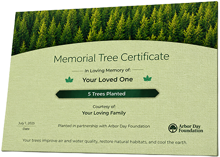 Plant Trees in Memory of Mr. Donald “MURRY” Maurice Wilkins